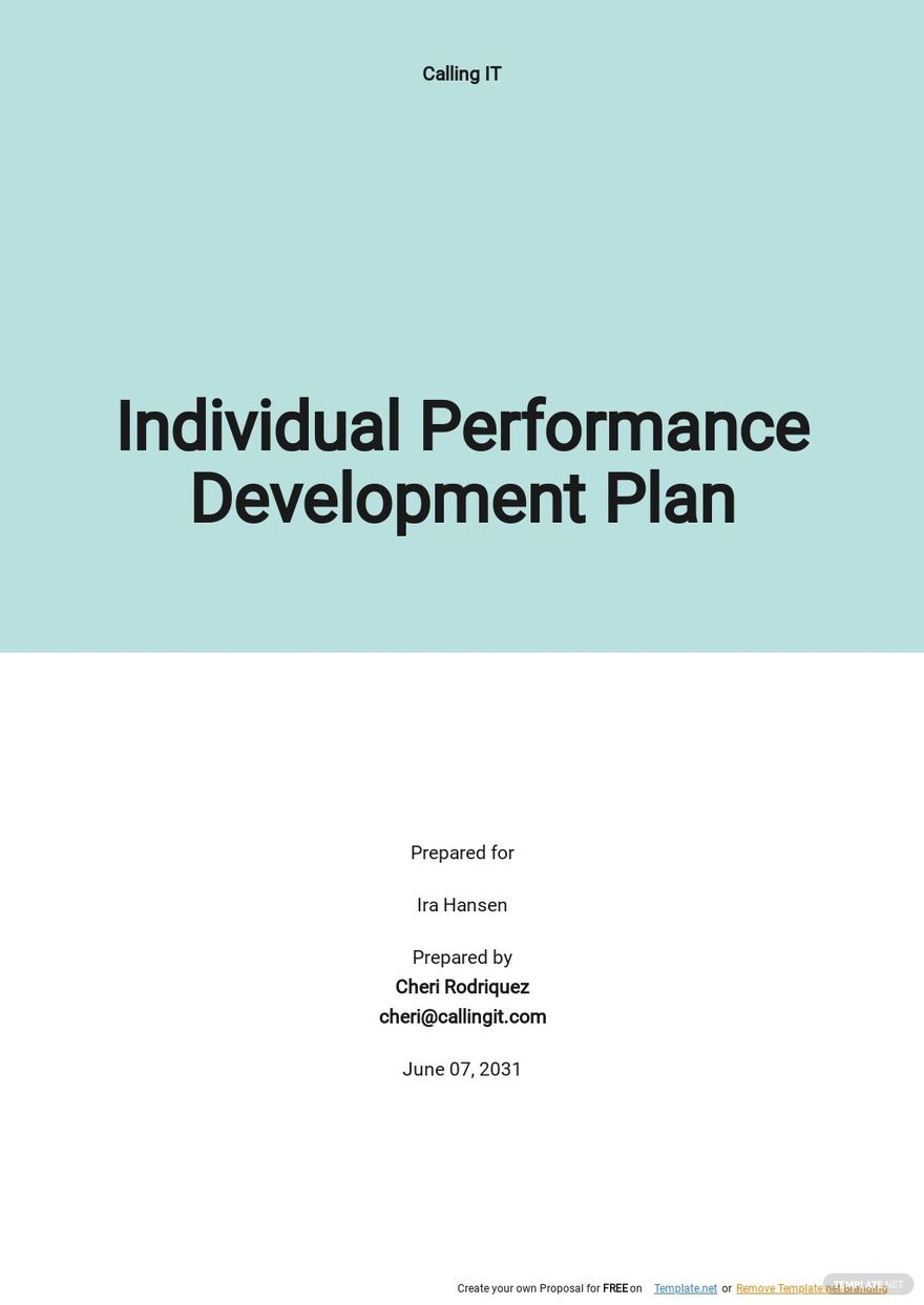 performance-review-development-plan-examples