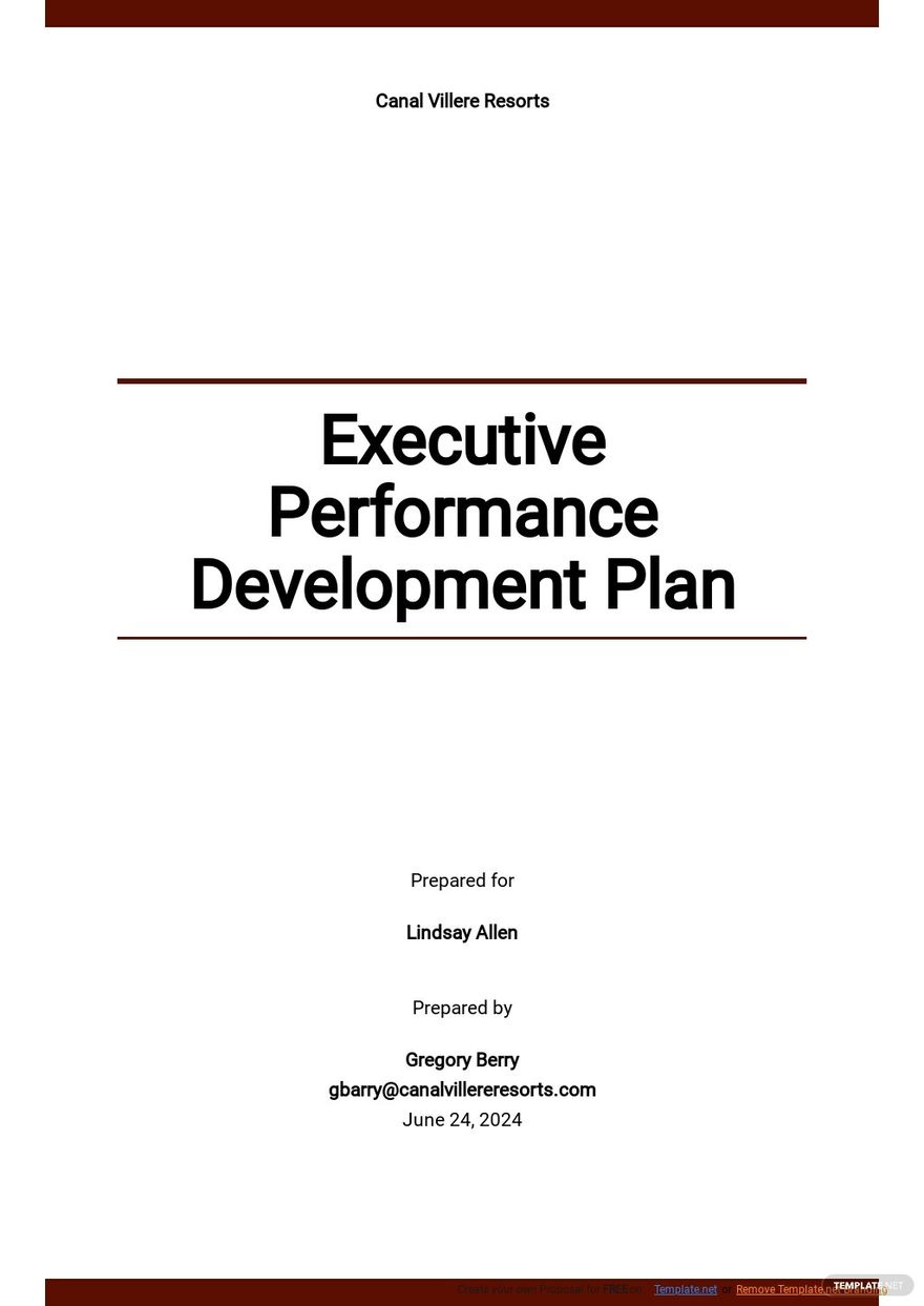 Executive Performance Development Plan Template