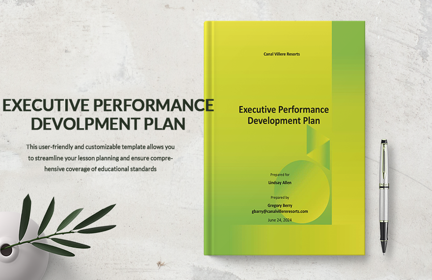Executive Performance Development Plan Template