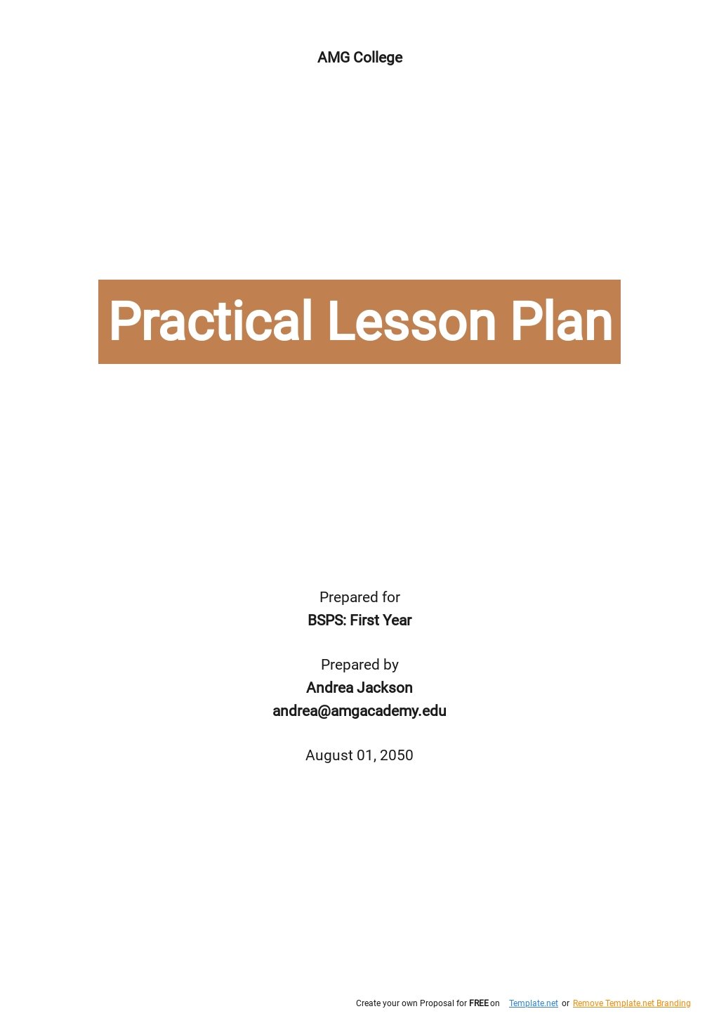 FREE Practical Lesson Plan Template in Google Docs