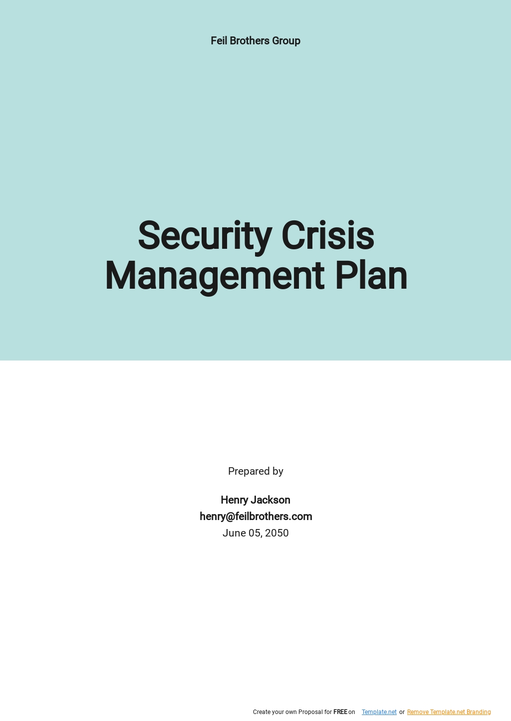 Hospital Security Management Plan Template - Google Docs, Word, Apple ...