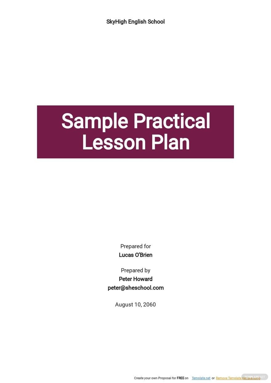 Practical Lesson Plan Organizational Structure Lesson Plan Free Vrogue
