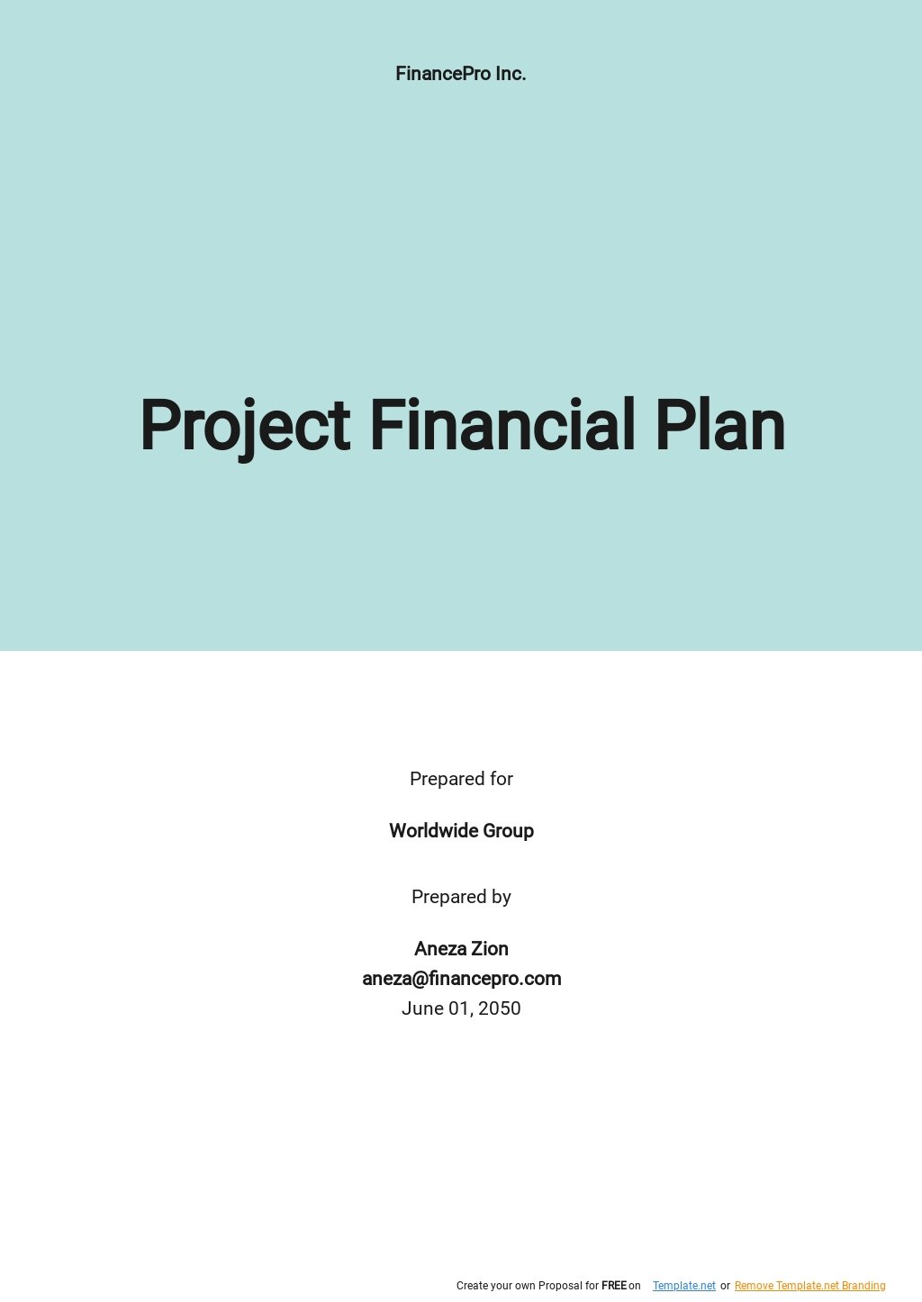 micro finance business plan pdf