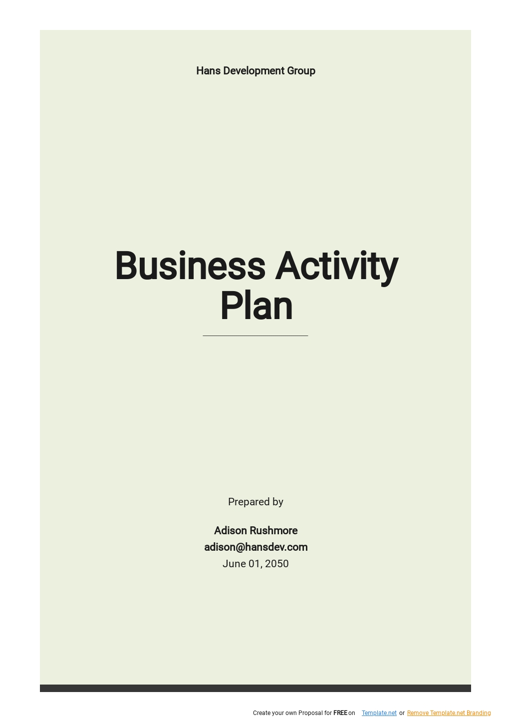 Basic Business Activity Plan Template