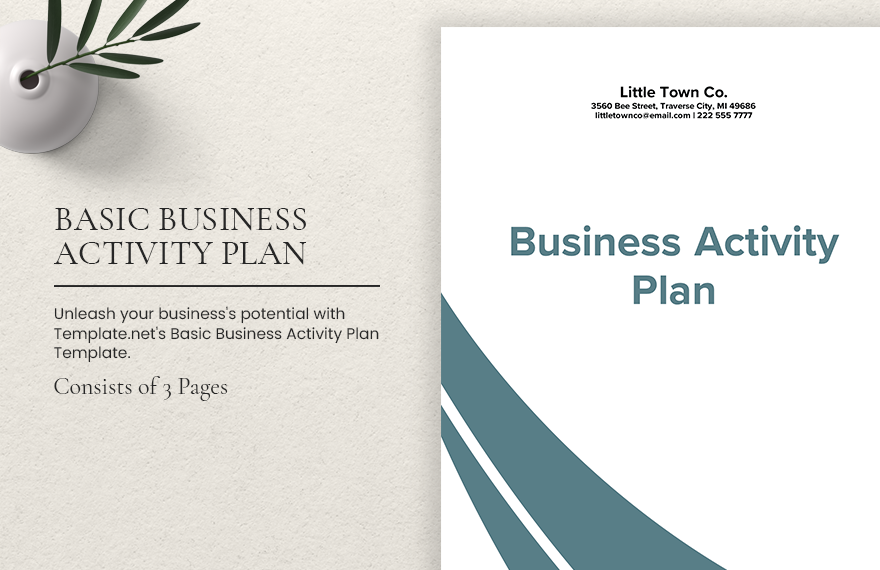 Free Basic Business Activity Plan Template Google Docs Word Apple 