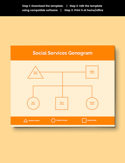 genogram social work program