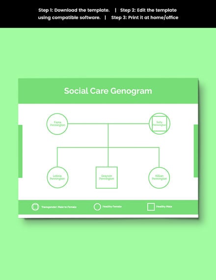 genogram formats social work