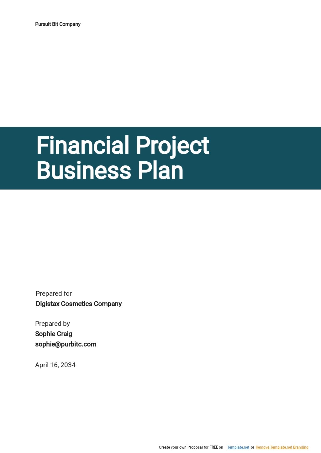 Financial Project Business Plan Template