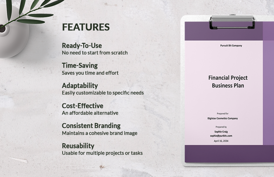 Financial Project Business Plan Template