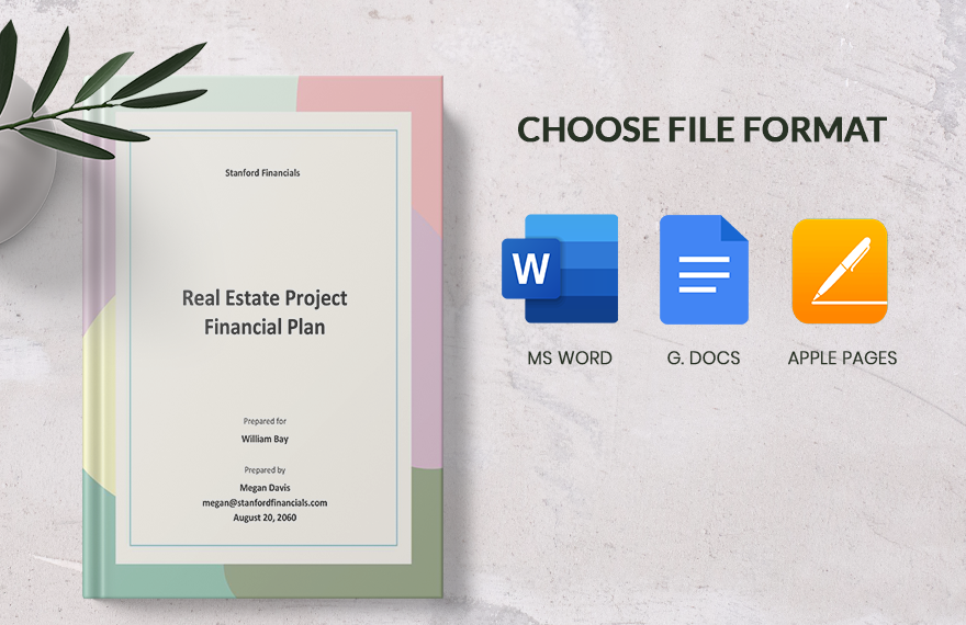 Real Estate Project Financial Plan Template 