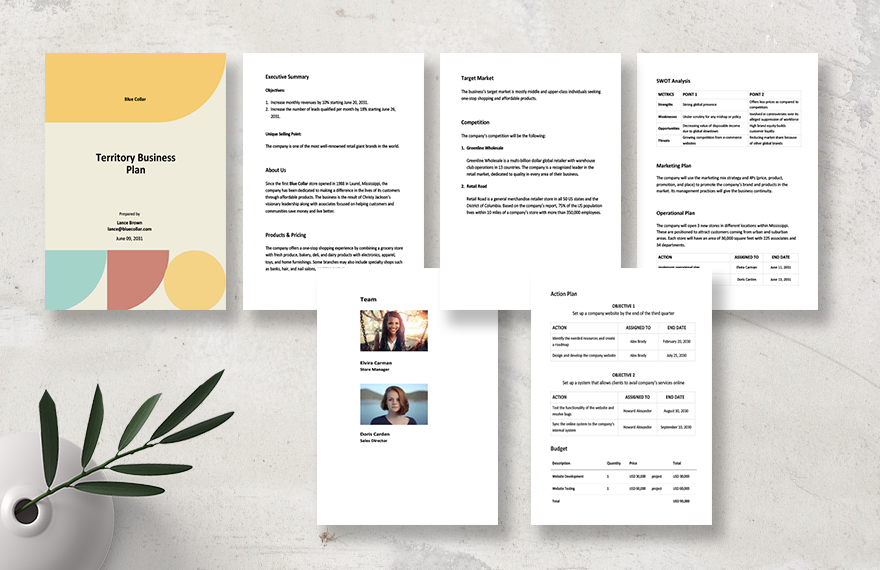 Territory Business Plan Template