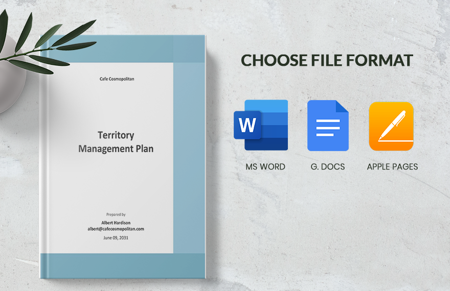 Territory Management Plan Template in Word PDF Google Docs Pages