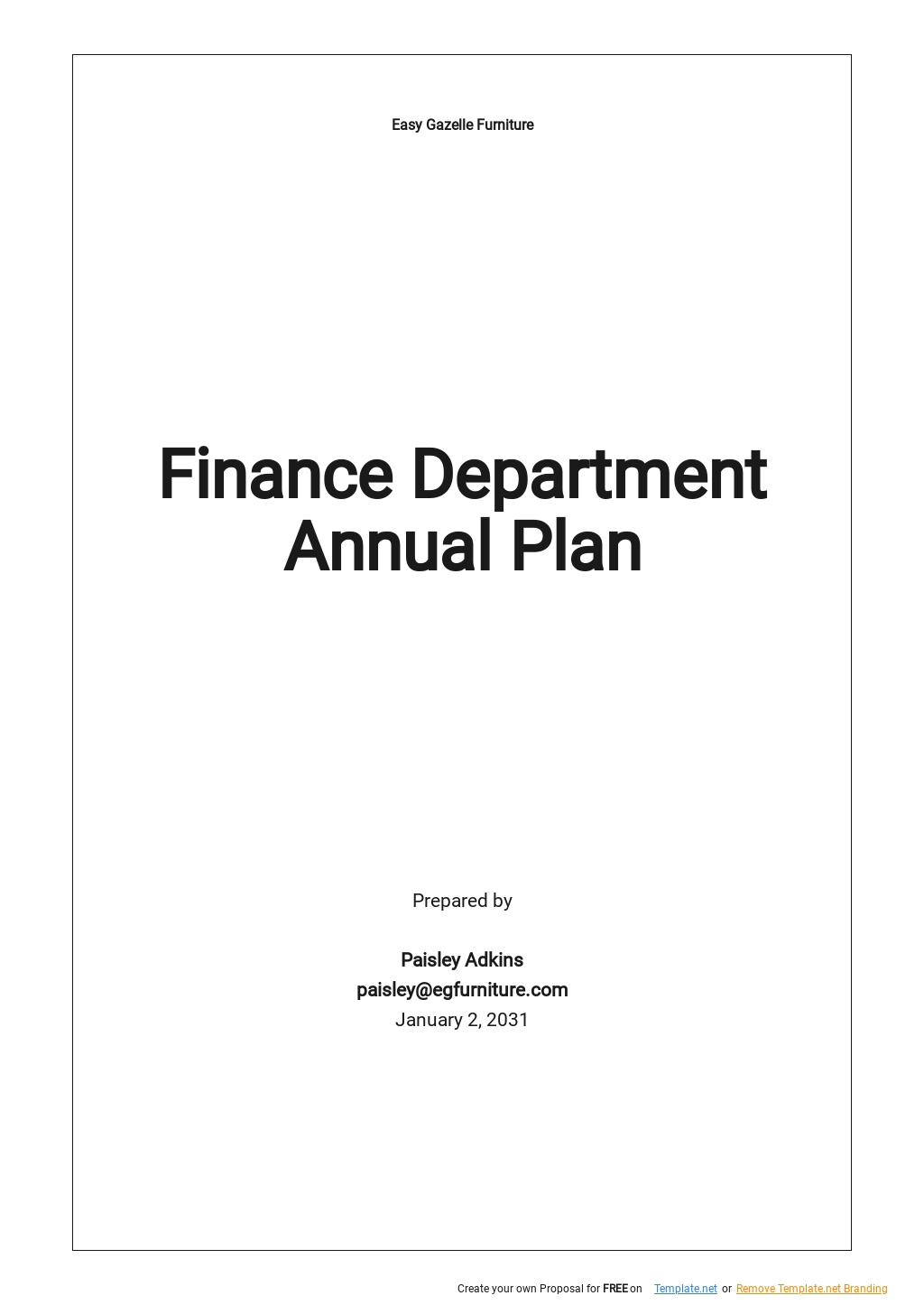 finance department business plan template