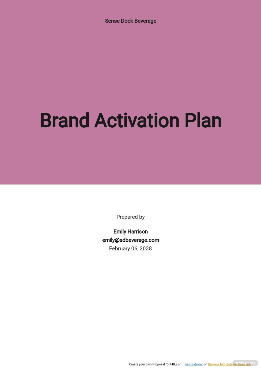 Simple Brand Activation Plan Template.jpe