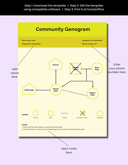 Free Community Genogram Example Template - Google Docs, InDesign, Word ...