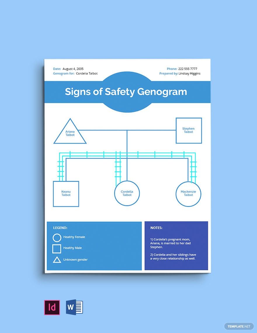 Signs Of Safety Genogram Template