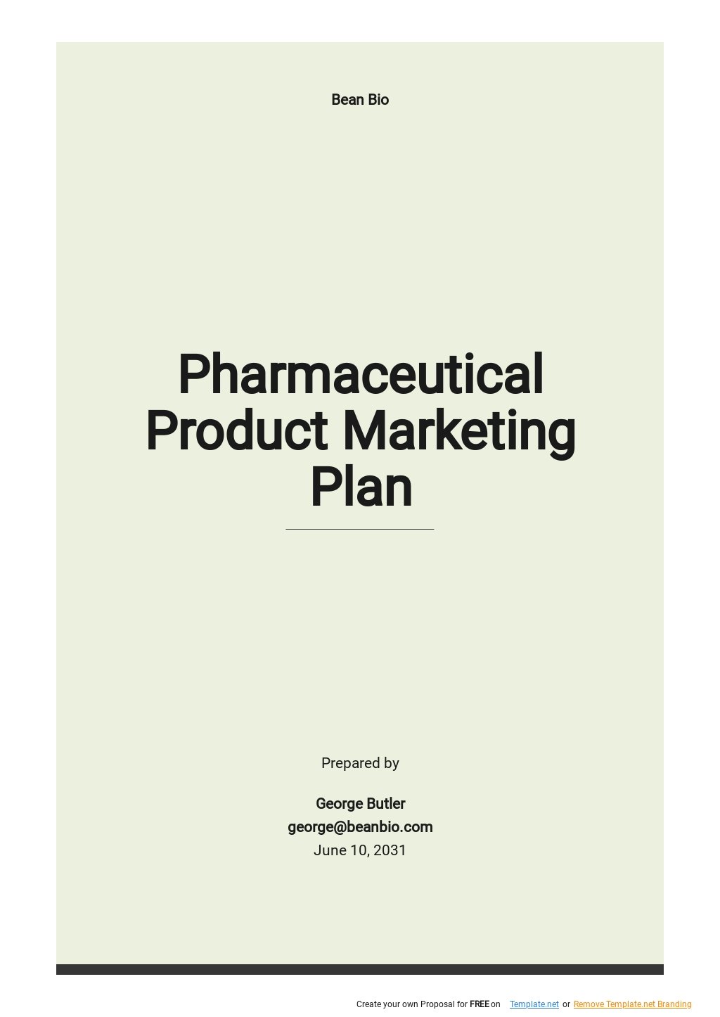 Pharmaceutical Product Marketing Plan Template.jpe