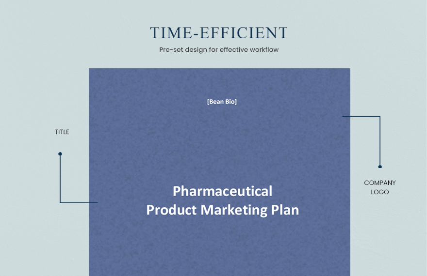 Pharmaceutical Product Marketing Plan Template