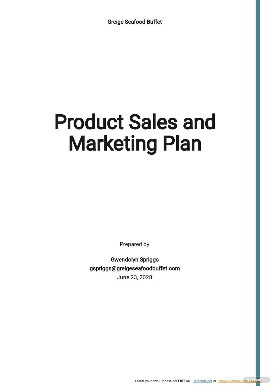 Product Sales And Marketing Plan Template