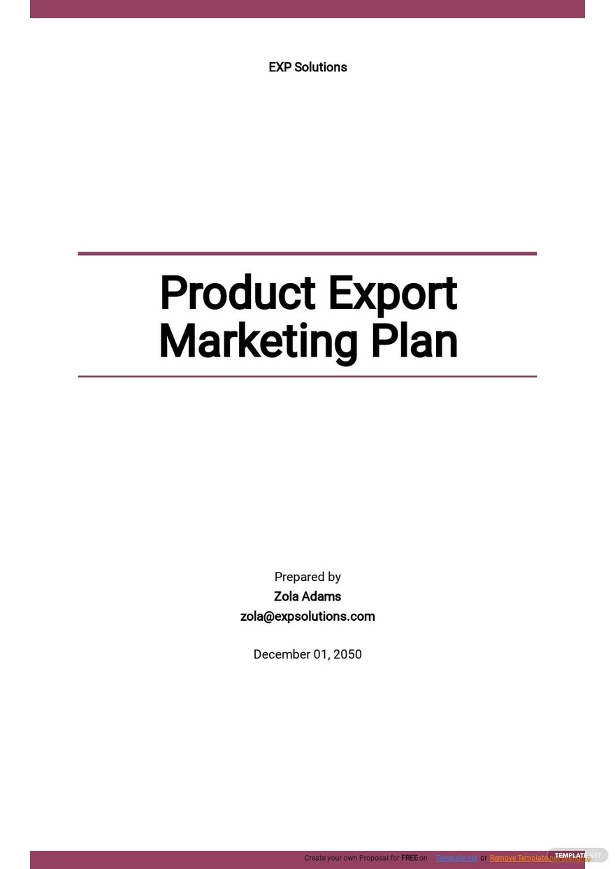 Product Export Marketing Plan Template