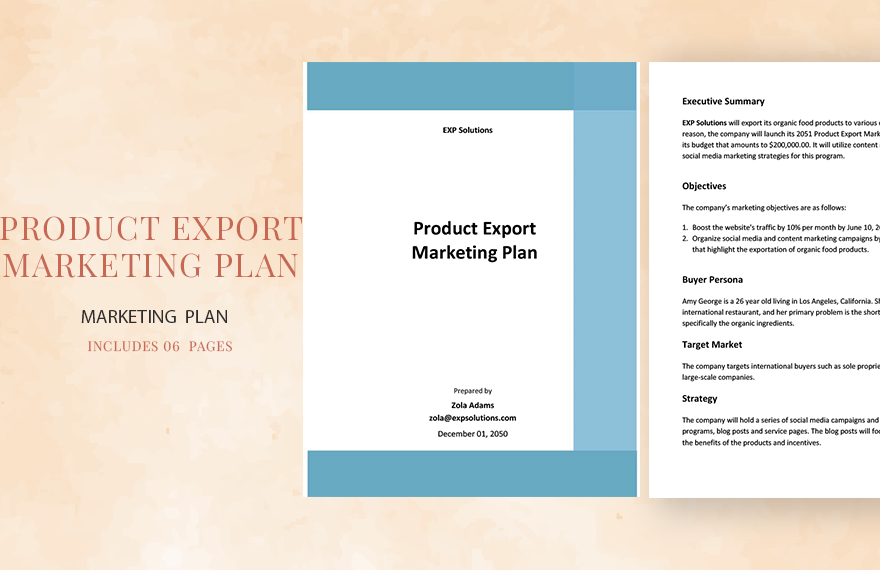 Product Export Marketing Plan Template