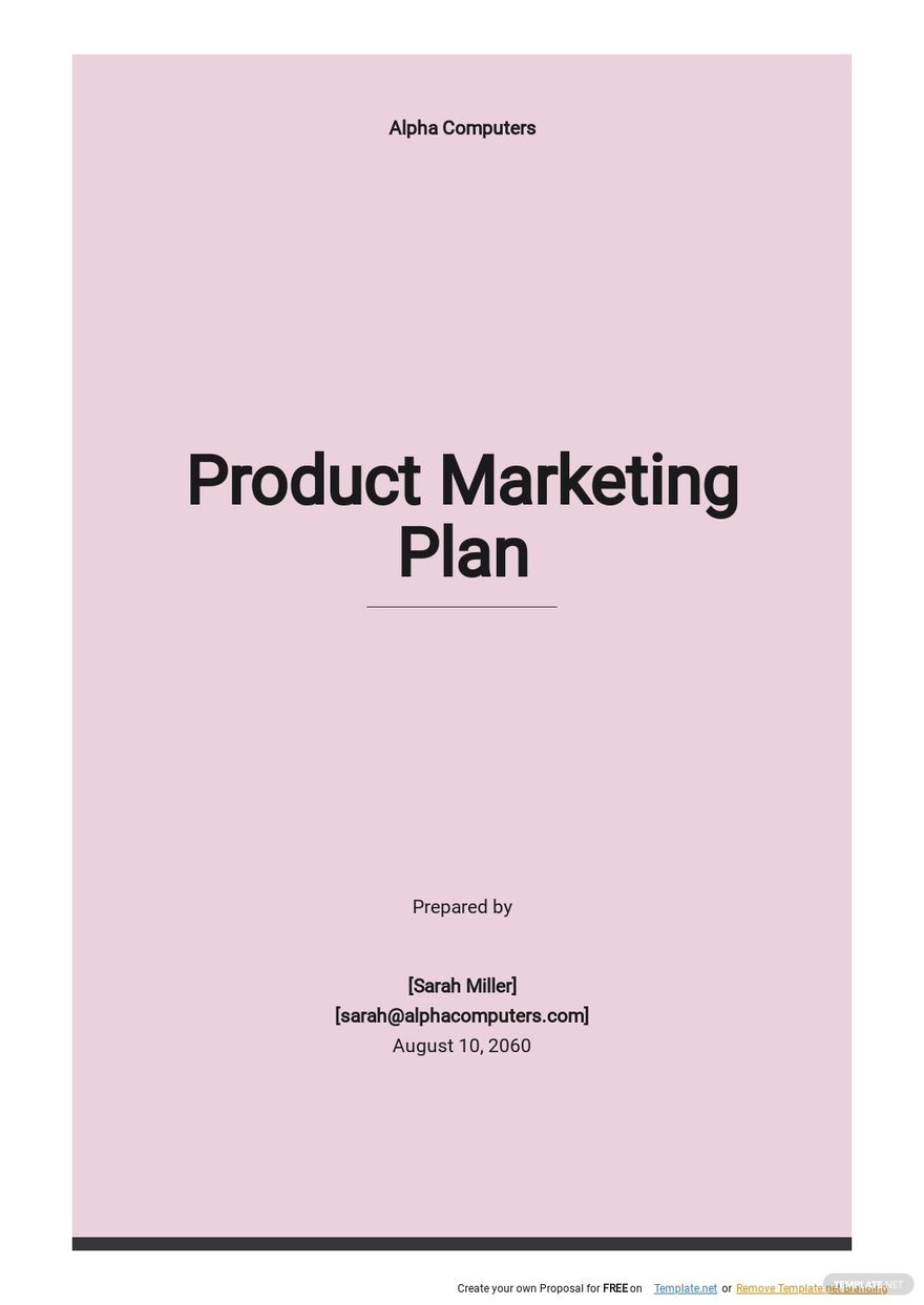 Product Marketing Plan Template 