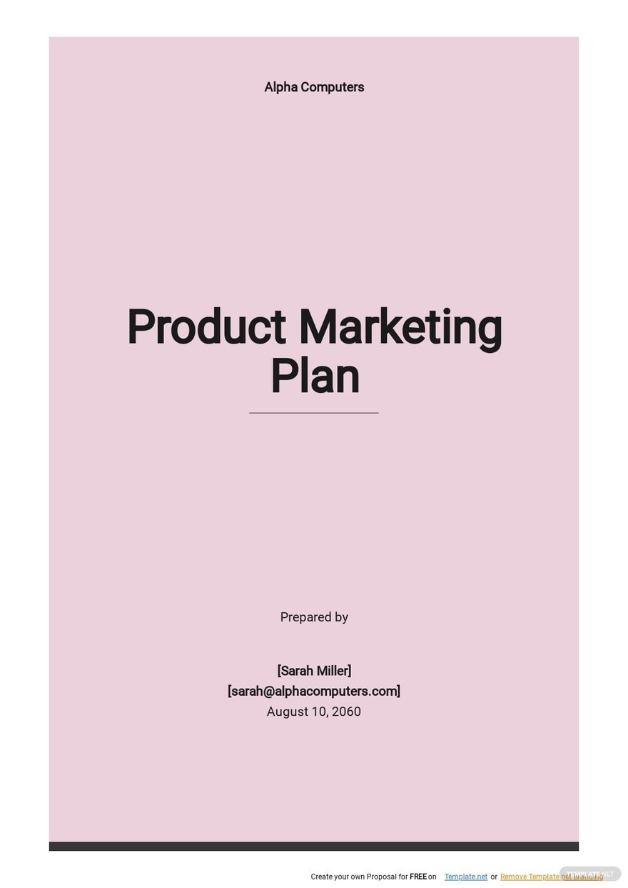 product-plan-template-word