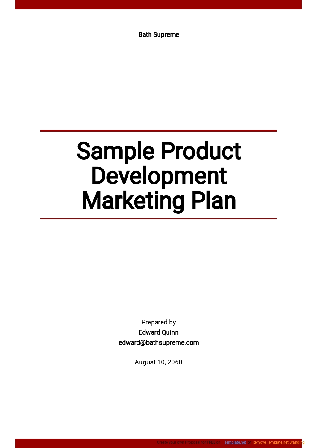 Free Sample Product Development Marketing Plan Template 
