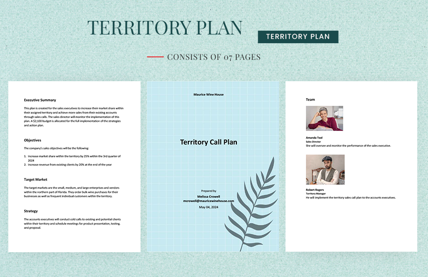 Territory Call Plan Template