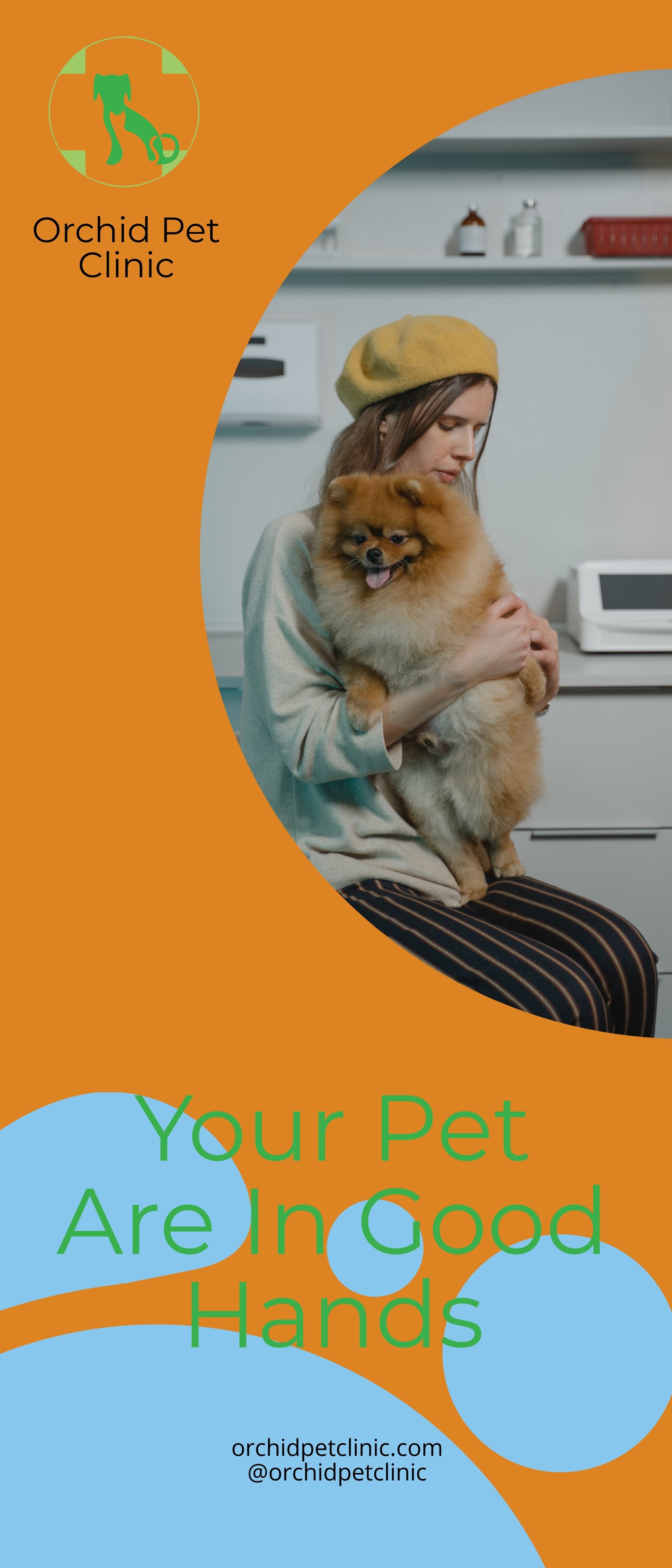 Veterinarian Clinic Advertising Roll Up Banner Template