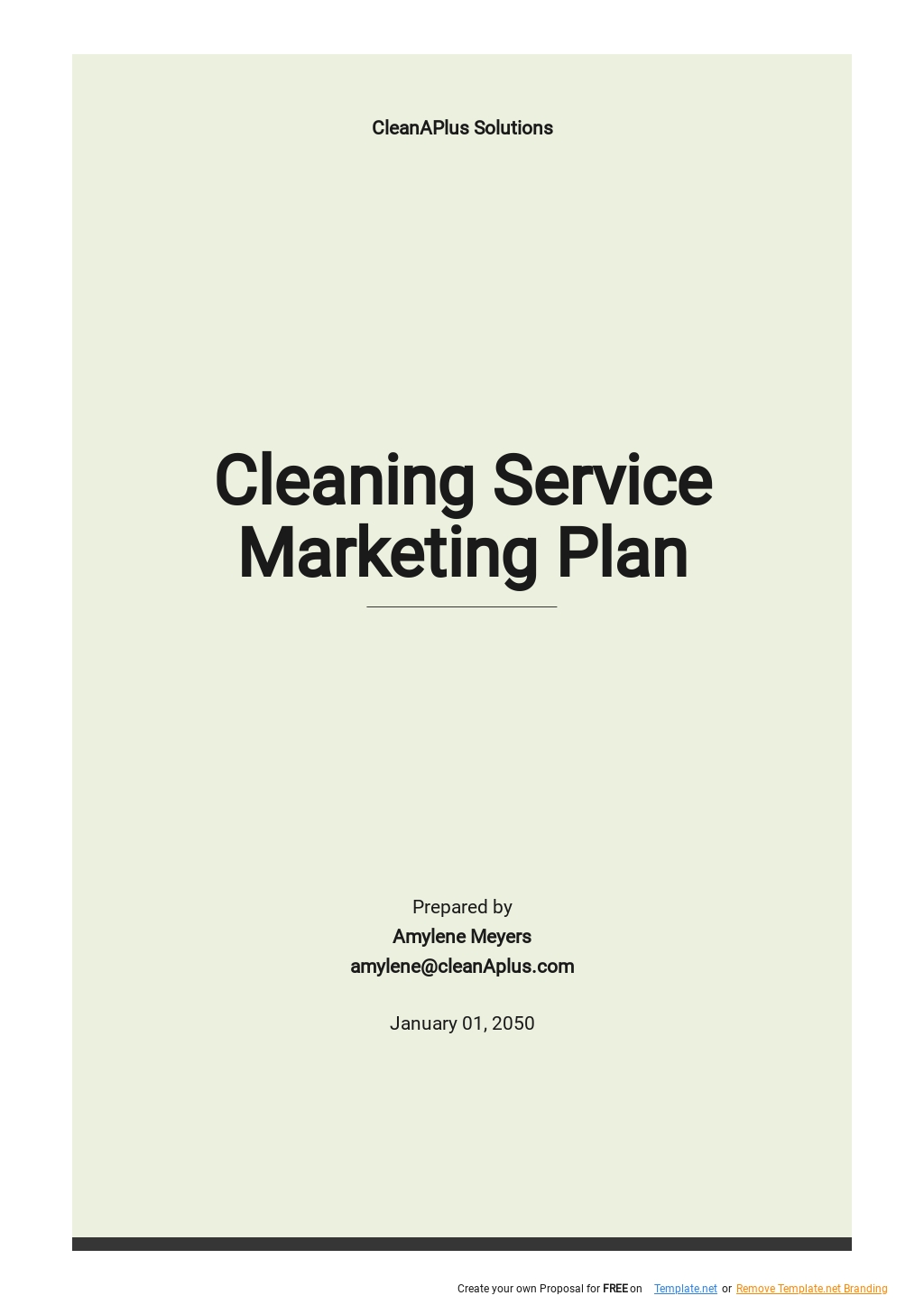 cleaning detergents business plan