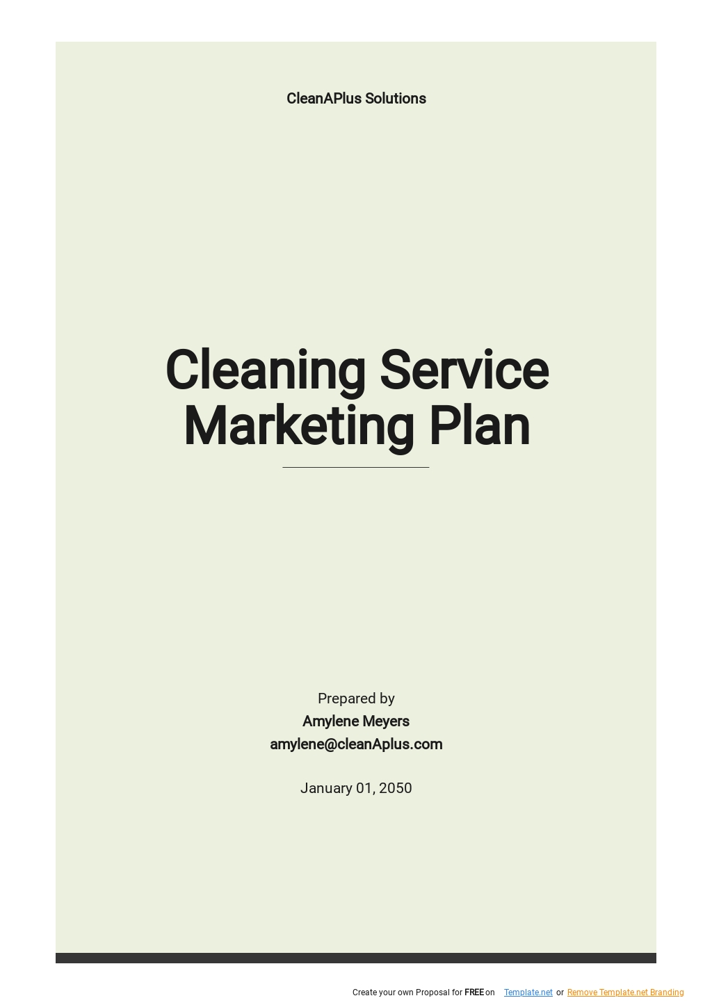 business plan sample for cleaning services