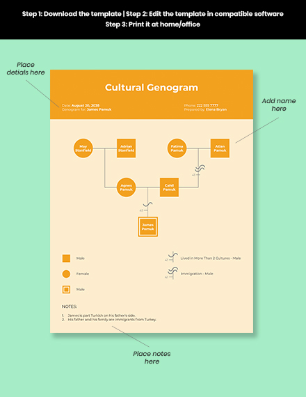cultural genogram cultural genogram
