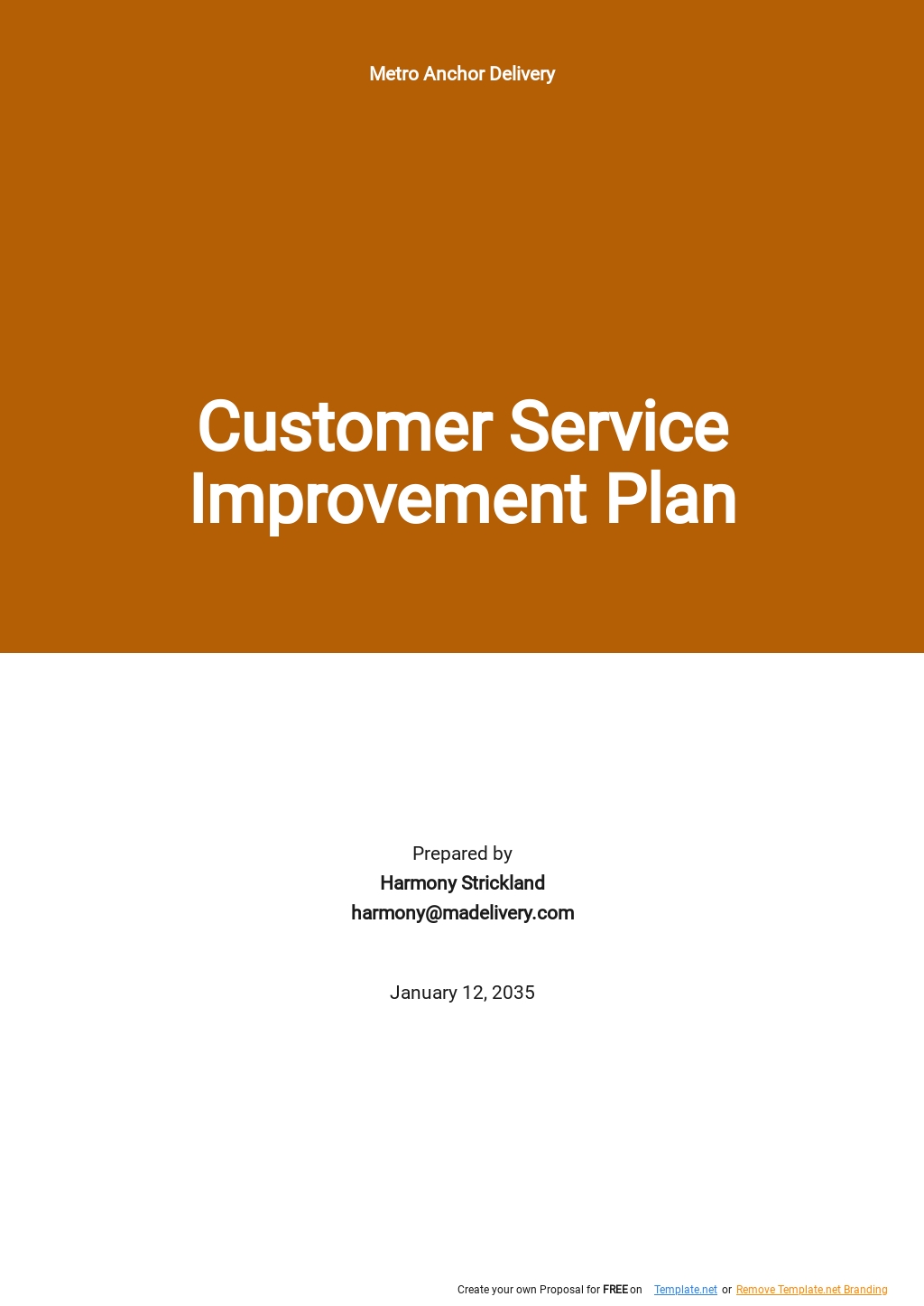 Customer Service Improvement Plan Template 9601