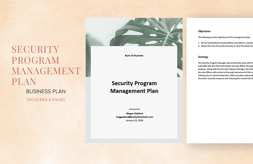 Security Program Management Plan Template