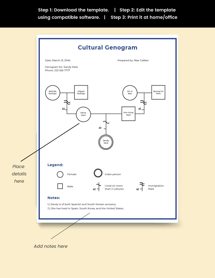 basic-cultural-genogram-examples-download-in-word-google-docs-apple
