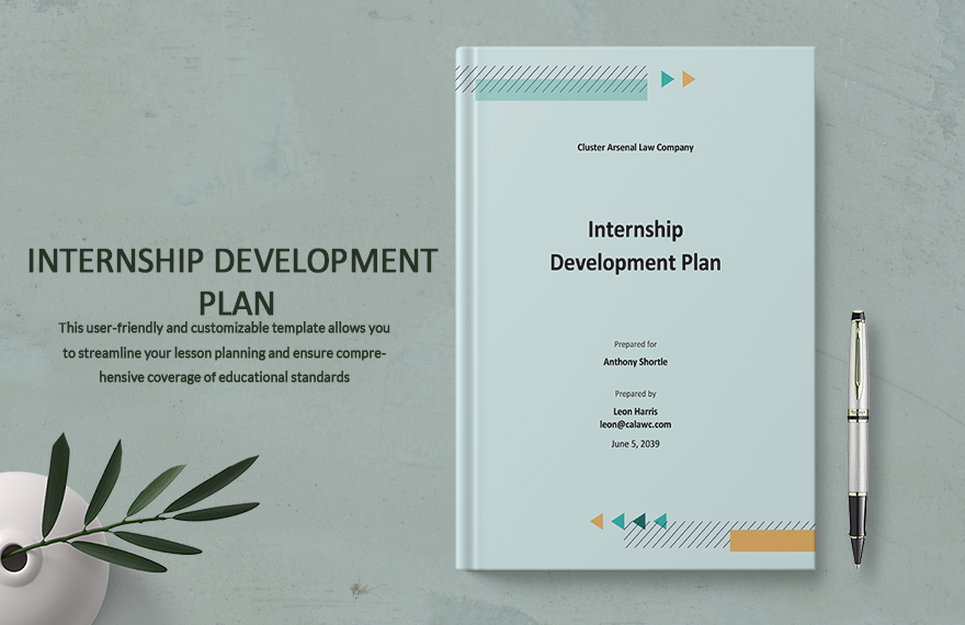 Internship Development Plan Template