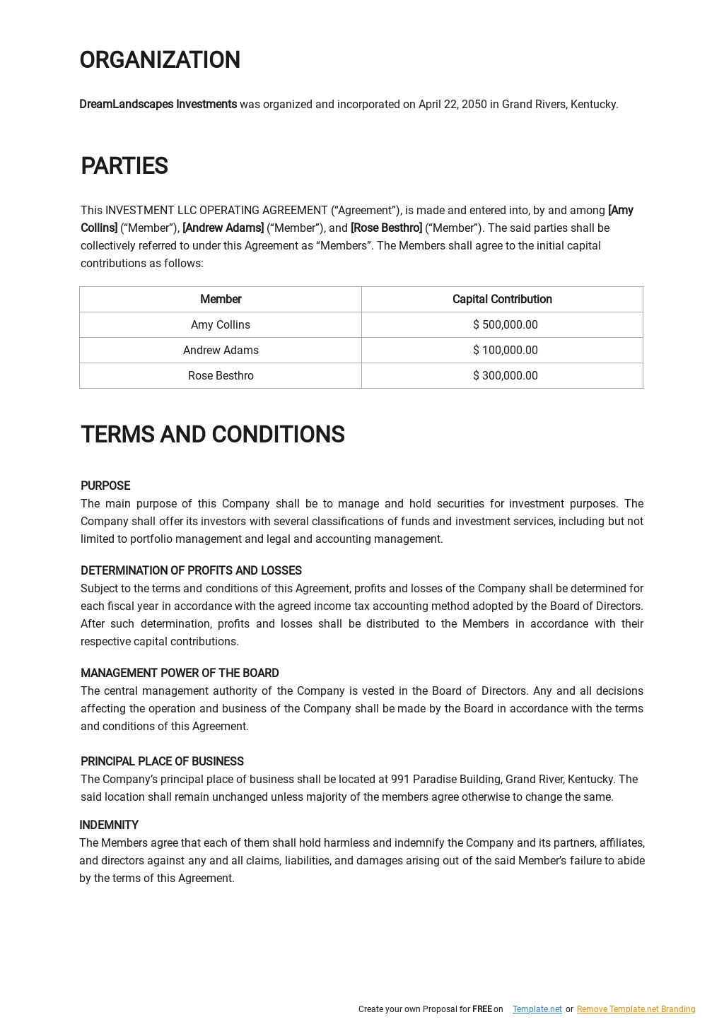 Investment LLC Operating Agreement Template in Google Docs Word