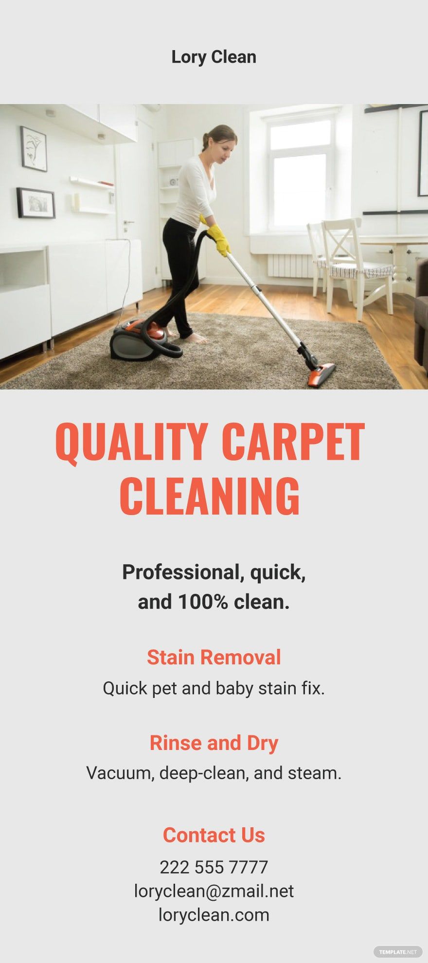 Carpet Cleaning Services DL Card Template in Word, Google Docs, Apple Pages, Publisher