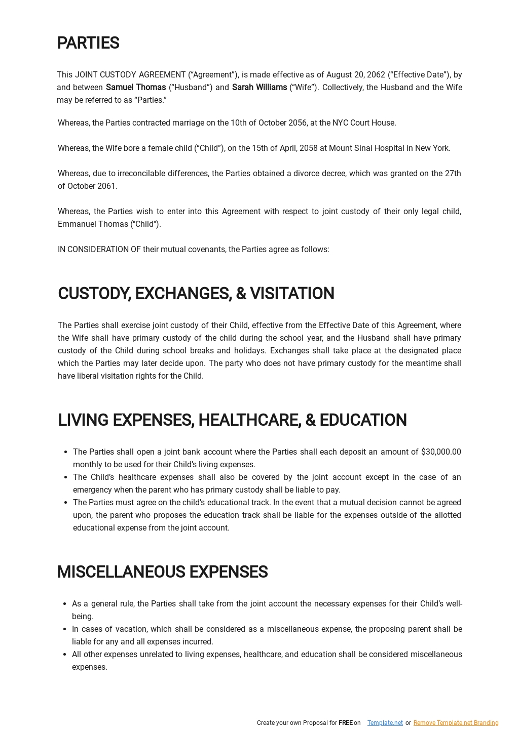 Joint Custody Template