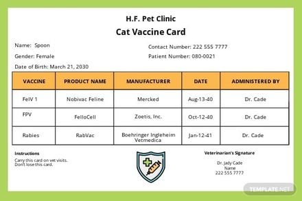 Printable Vaccine Card Template in Word, Google Docs, Illustrator, PSD, Apple Pages