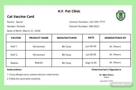 Simple Vaccine Card Template in Word, Google Docs, Illustrator, PSD, Apple Pages