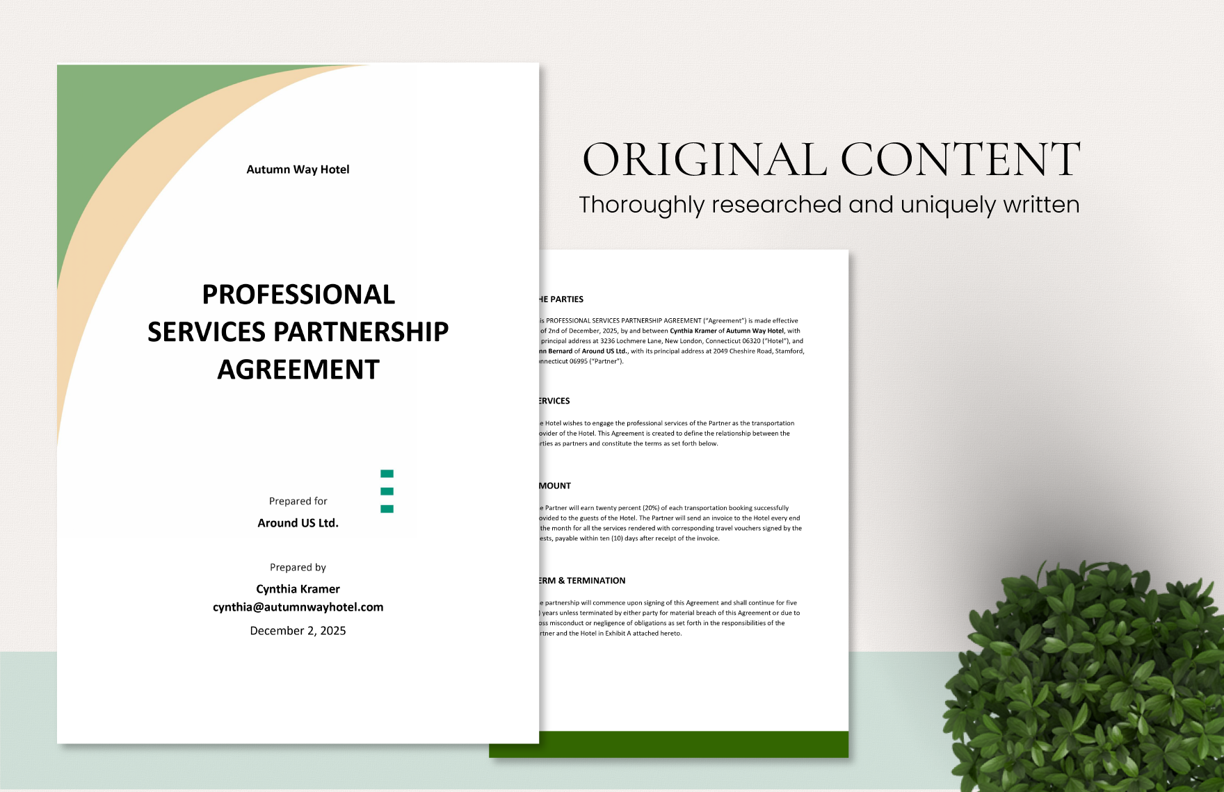 Professional Services Partnership Agreement Template