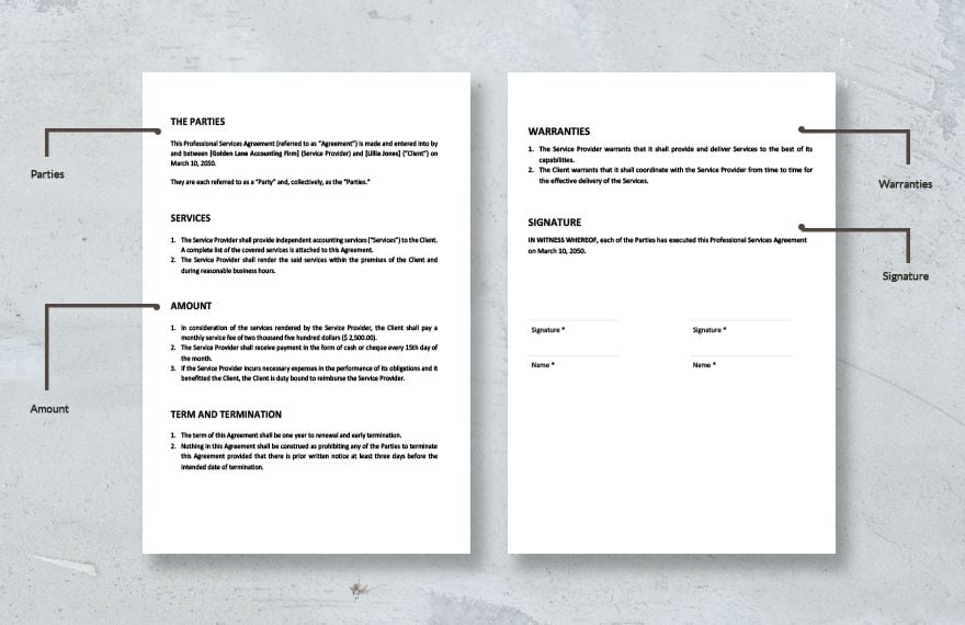 Simple Professional Services Agreement Template
