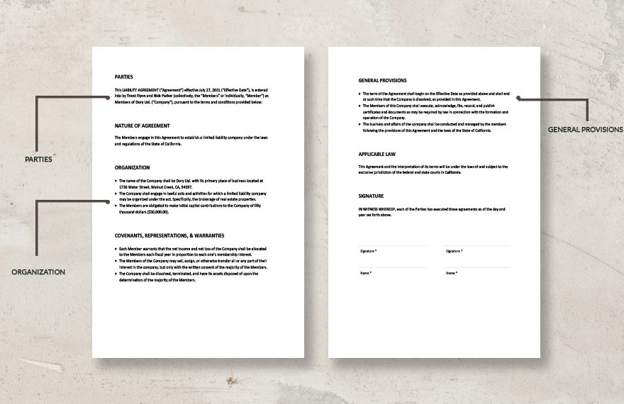 Limited Liability Company Agreement Template