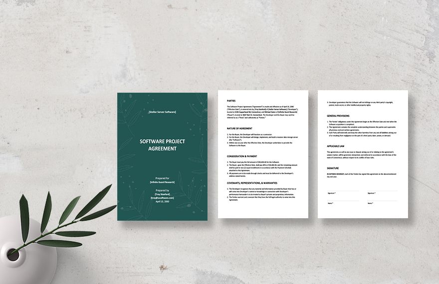 Software Project Agreement Template 