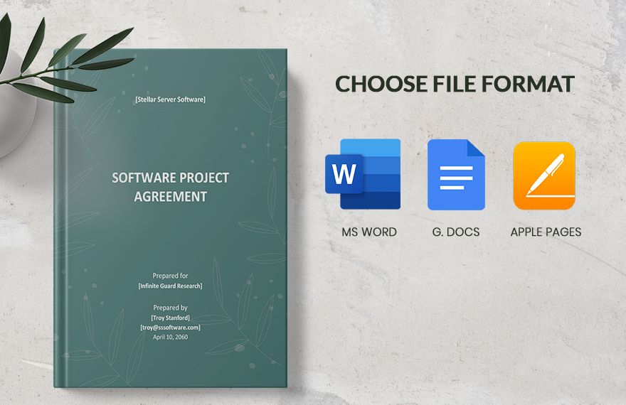 Software Project Agreement Template 