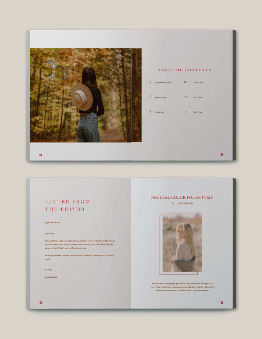 Softly Outfit Lookbook Template