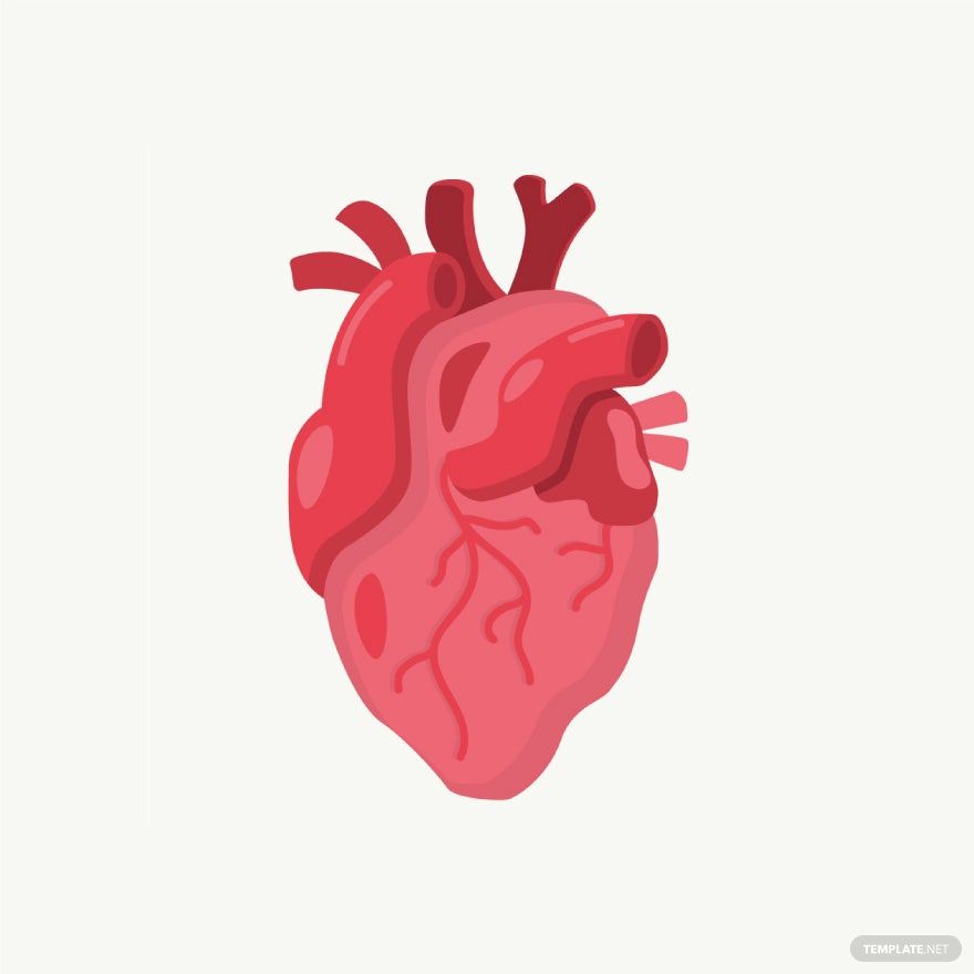 Free Human Heart Vector in Illustrator, EPS, SVG, JPG, PNG