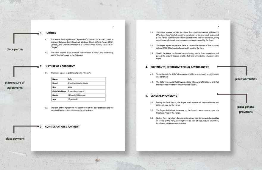Horse Trial Agreement Template in PDF Word Google Docs Pages